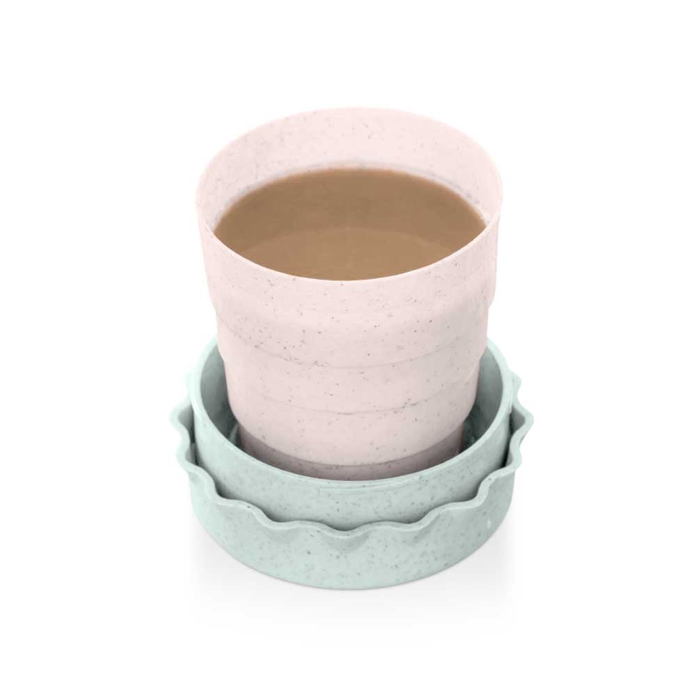 Foldable Wheat Straw cups